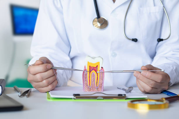Professional Emergency Dental Service in KY